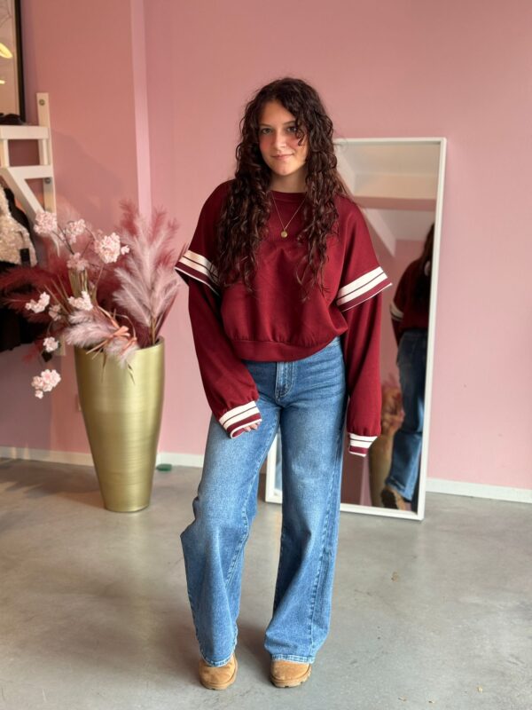 Stripe Sweater Bordeaux